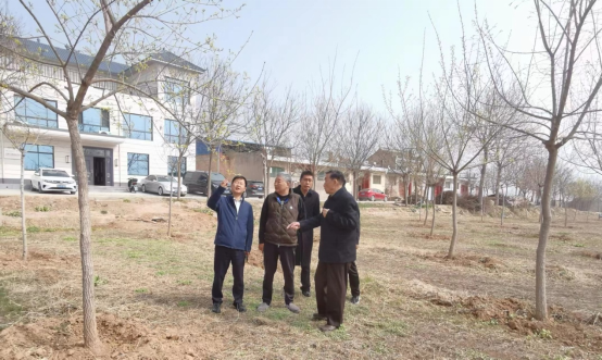 “元宝枫之父”王性炎教授考察校地共建项目 “径阳元宝枫试验示范站”